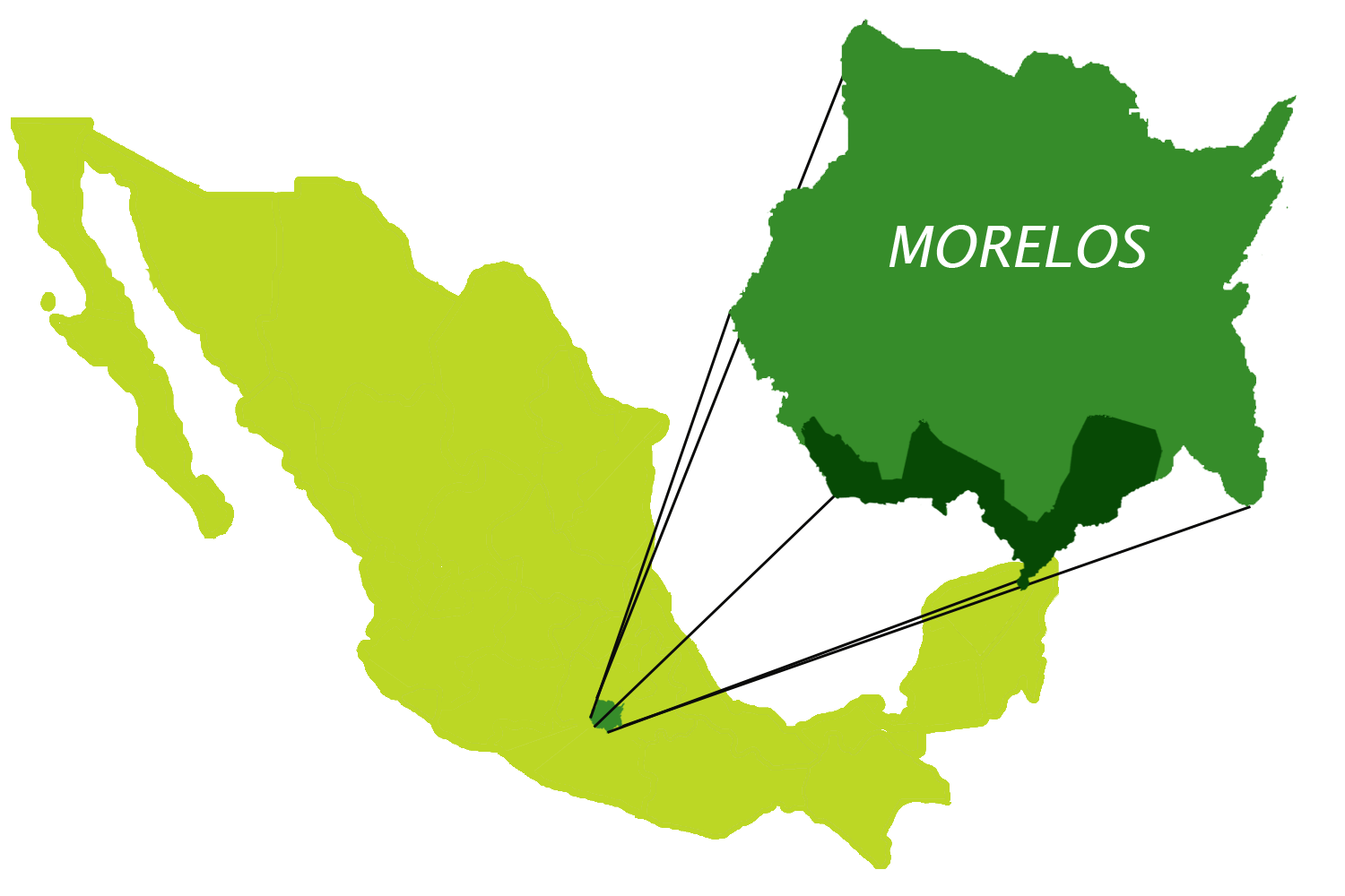 Estado de Morelos